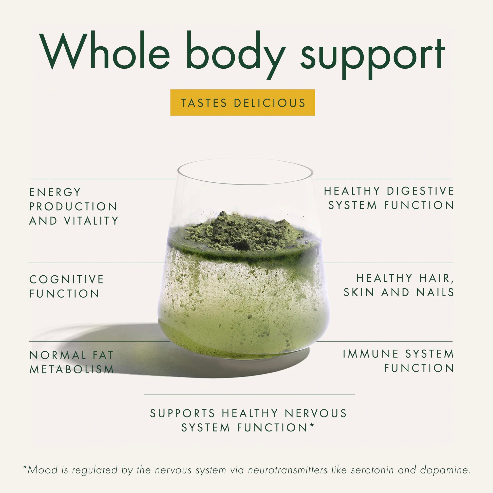 WelleCo The Super Elixir Daily Greens Powder, Probiotic Drink Mix with Whole Foods, Gluten Free, Vegan Gut Health Powder, Energy, Immunity, Healthy Skin, Hair & Nails (300g, Lemon Ginger) WelleCo buy supplements Au