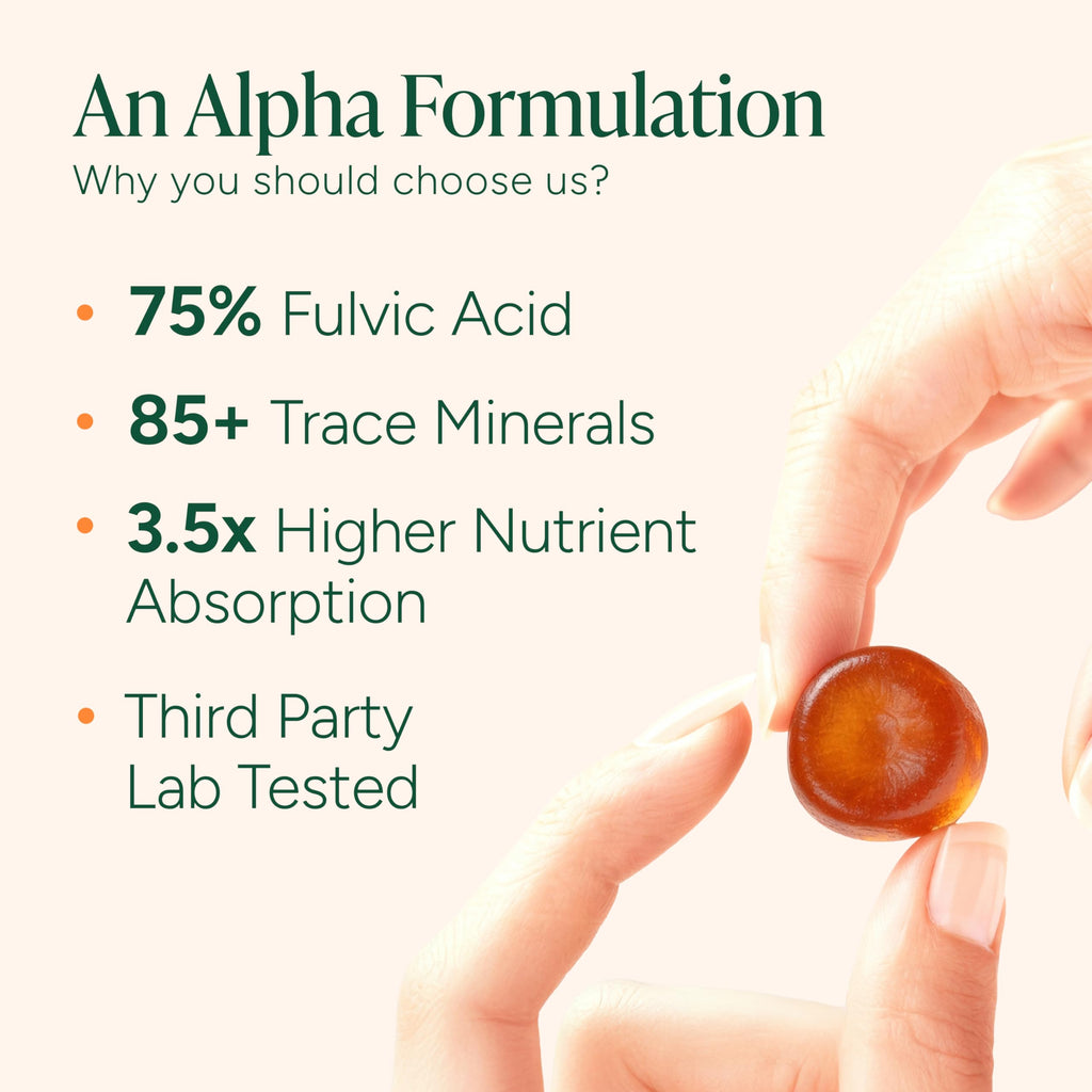 ROOT LABS 10-in-1 Alpha Shilajit Gummies | 4000 mg Pure Himalayan Shilajit with Tongkat Ali & Maca Root | Shilajit for Men & Women | ShilAbsorb Bioavailability Tech | Sugar-Free, Vegan | 60 Gummies ROOT LABS buy supplements Au