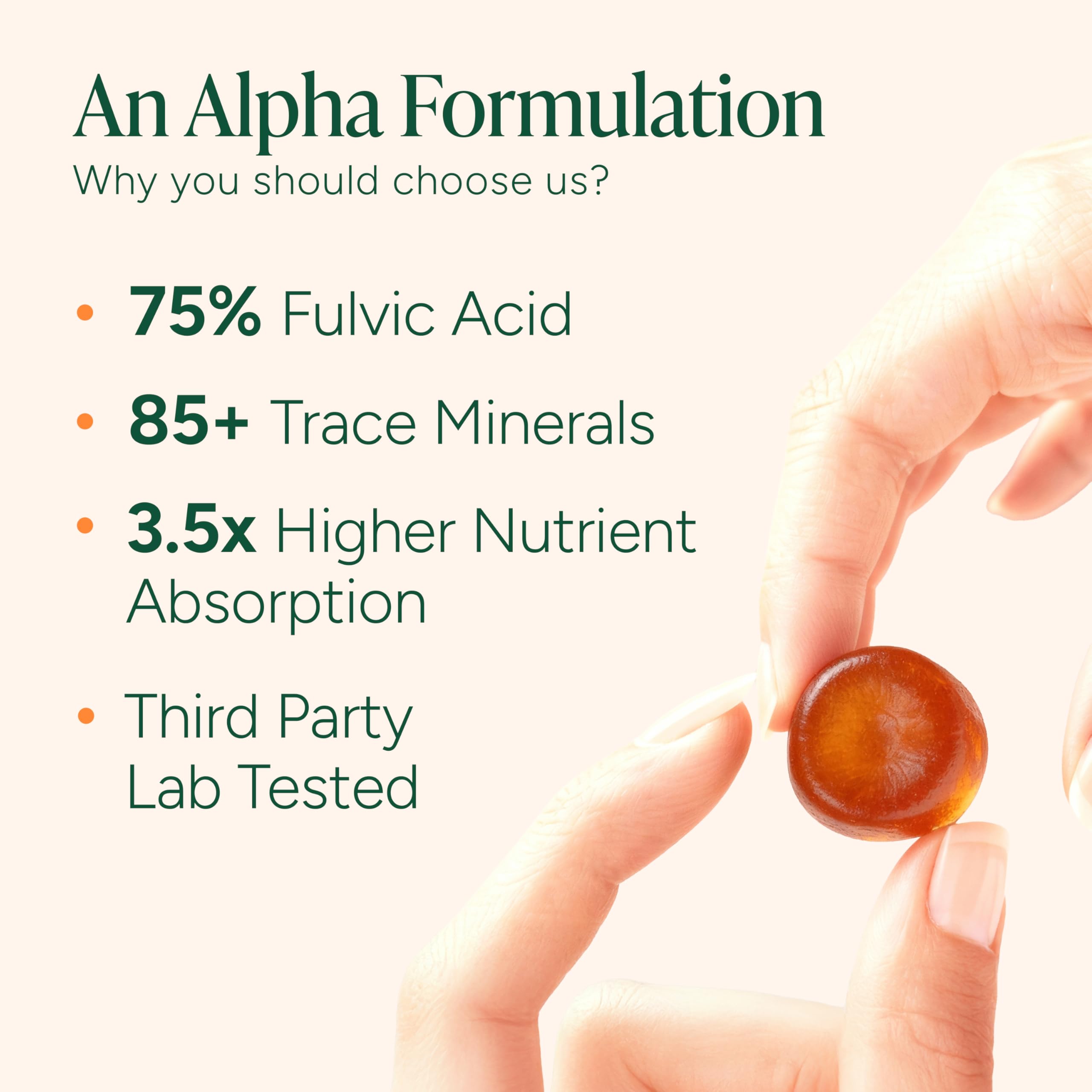 ROOT LABS 10-in-1 Alpha Shilajit Gummies | 4000 mg Pure Himalayan Shilajit with Tongkat Ali & Maca Root | Shilajit for Men & Women | ShilAbsorb Bioavailability Tech | Sugar-Free, Vegan | 60 Gummies ROOT LABS buy supplements Au