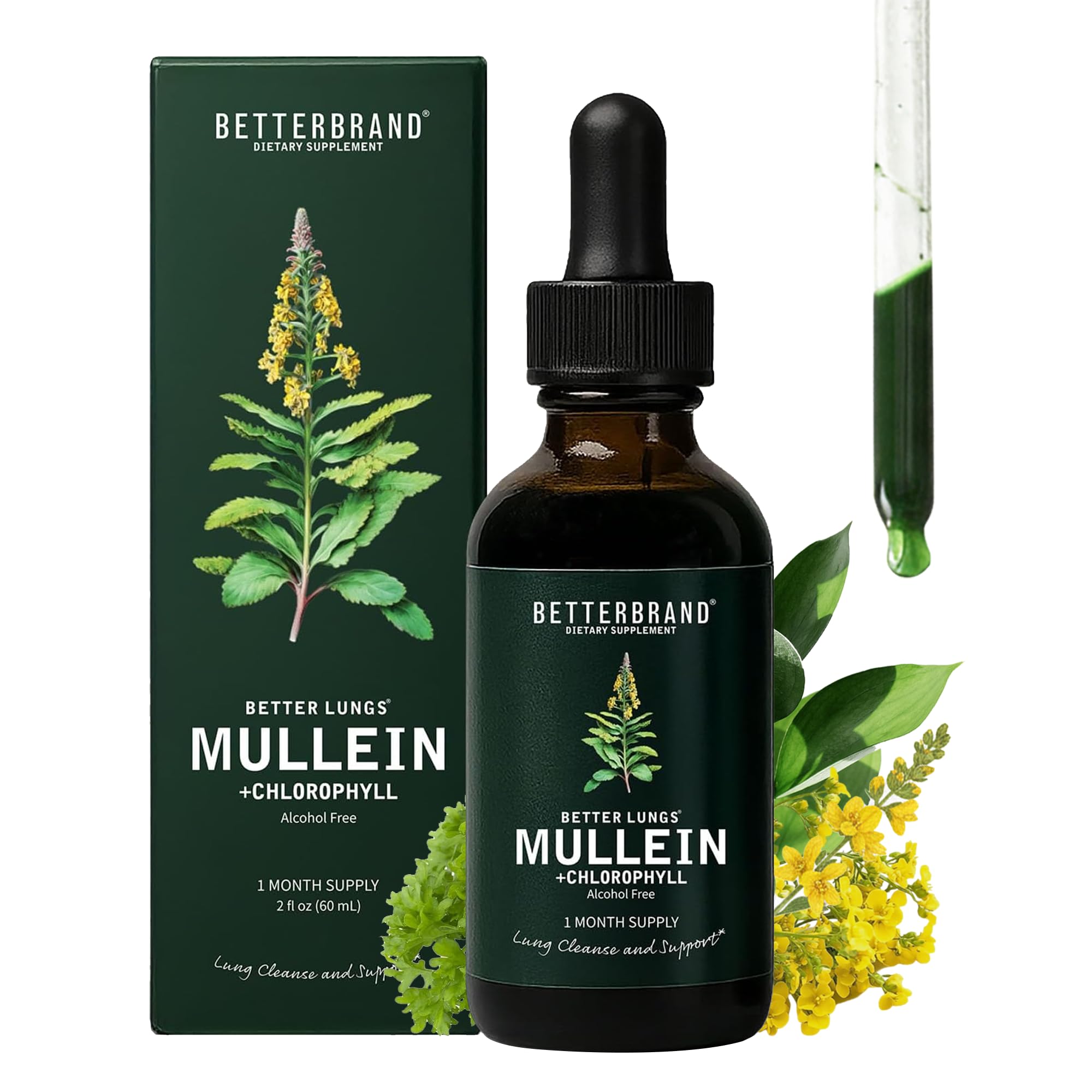 Betterbrand Mullein Drops for Lung Detox - Mullein Leaf Tincture with Chlorophyll - Helps Support Respiratory Health