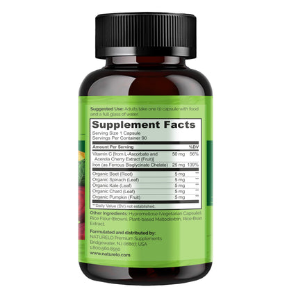 NATURELO Vegan Iron Supplement with Vitamin C and Organic Whole Foods - Gentle Iron Pills for Women & Men with Iron Deficiency Including Pregnancy