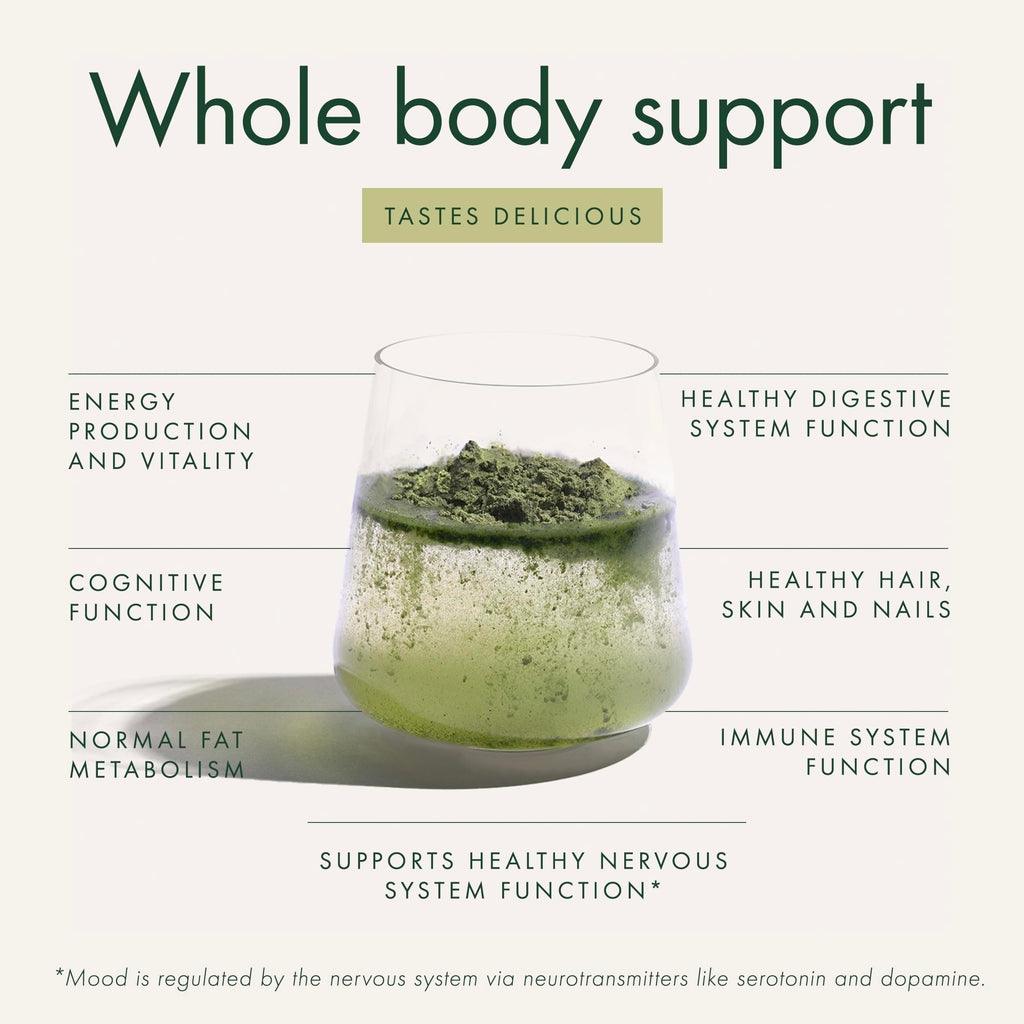 WelleCo The Super Elixir, Daily Greens Powder with Probiotics, Superfoods & Whole Foods, Unflavored Drink Mix for Gut Health, Immunity, Energy, Skin & Hair, 10.5oz Jar WelleCoBuy Supplements Australia