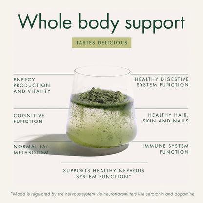 WelleCo The Super Elixir, Daily Greens Powder with Probiotics, Superfoods & Whole Foods, Unflavored Drink Mix for Gut Health, Immunity, Energy, Skin & Hair, 10.5oz Jar WelleCo buy supplements Au