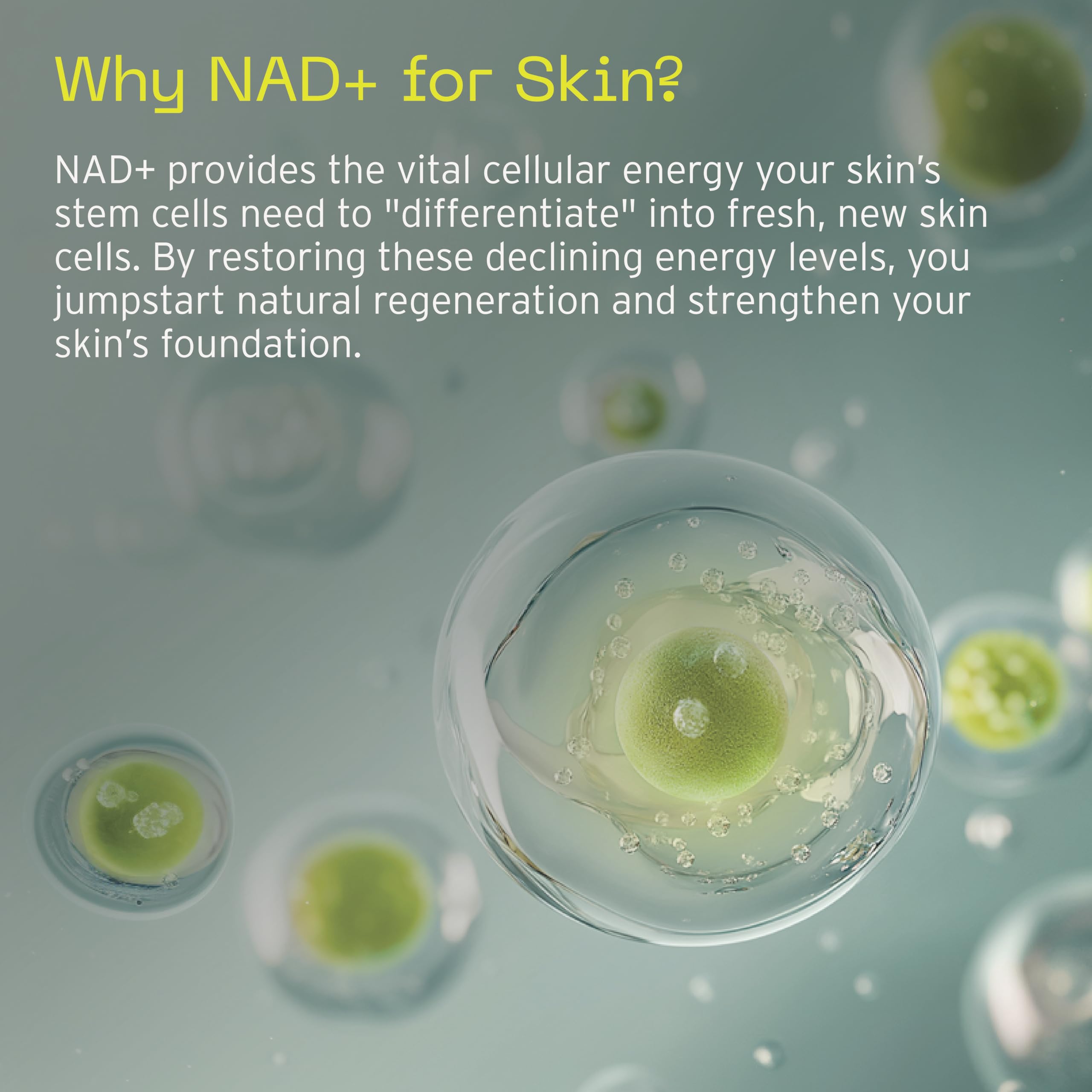 Aramore NAD+ Cell Energizing Skin Care Treatment with Proprietary NAD+ Precursor Complex, Clinically Proven to Target 12 Signs of Aging - 15ml AramoreBuy Supplements Australia