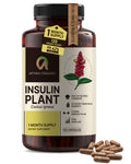 Afiyah Organic - Premium Quality Costus Igneus (Insulin Plant) Capsules - Easy to Swallow 120 Veggie Capsules (1 Month Supply) - Made in the USA - Including Complete Health Support Program Afiyah OrganicBuy Supplements Australia