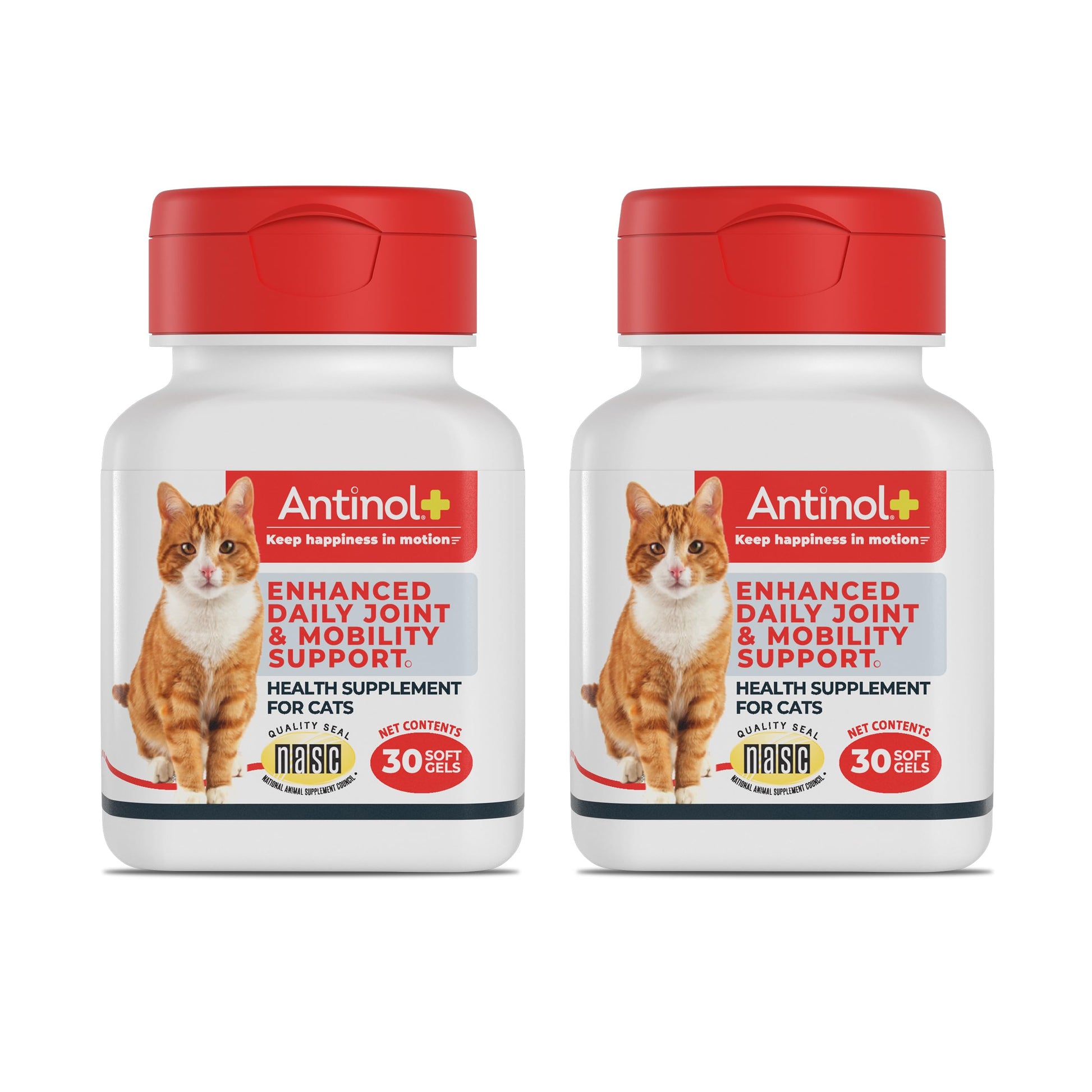 Antinol Plus, Mobility, Hip, and Joint Supplement for Cats, Green-Lipped Mussels and Krill Oil - Cat Joint Supplement, 60 Soft Gels AntinolBuy Supplements Australia