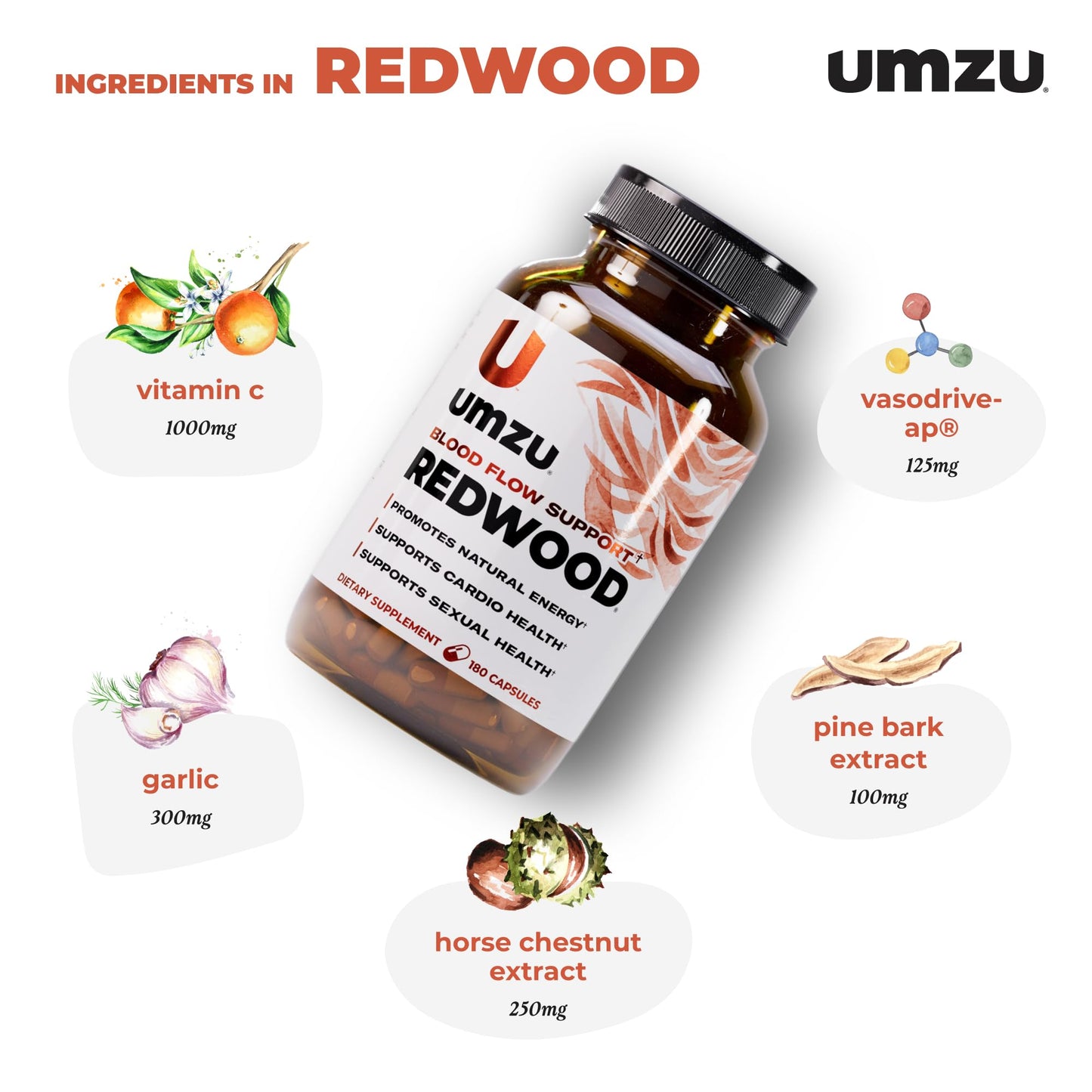 UMZU Redwood Nitric Oxide Booster, (30 Day Supply) – Vitamin C, Garlic & Horse Chestnut – Healthy Circulation & Endurance – Daily Cardiovascular Support Nitric Oxide