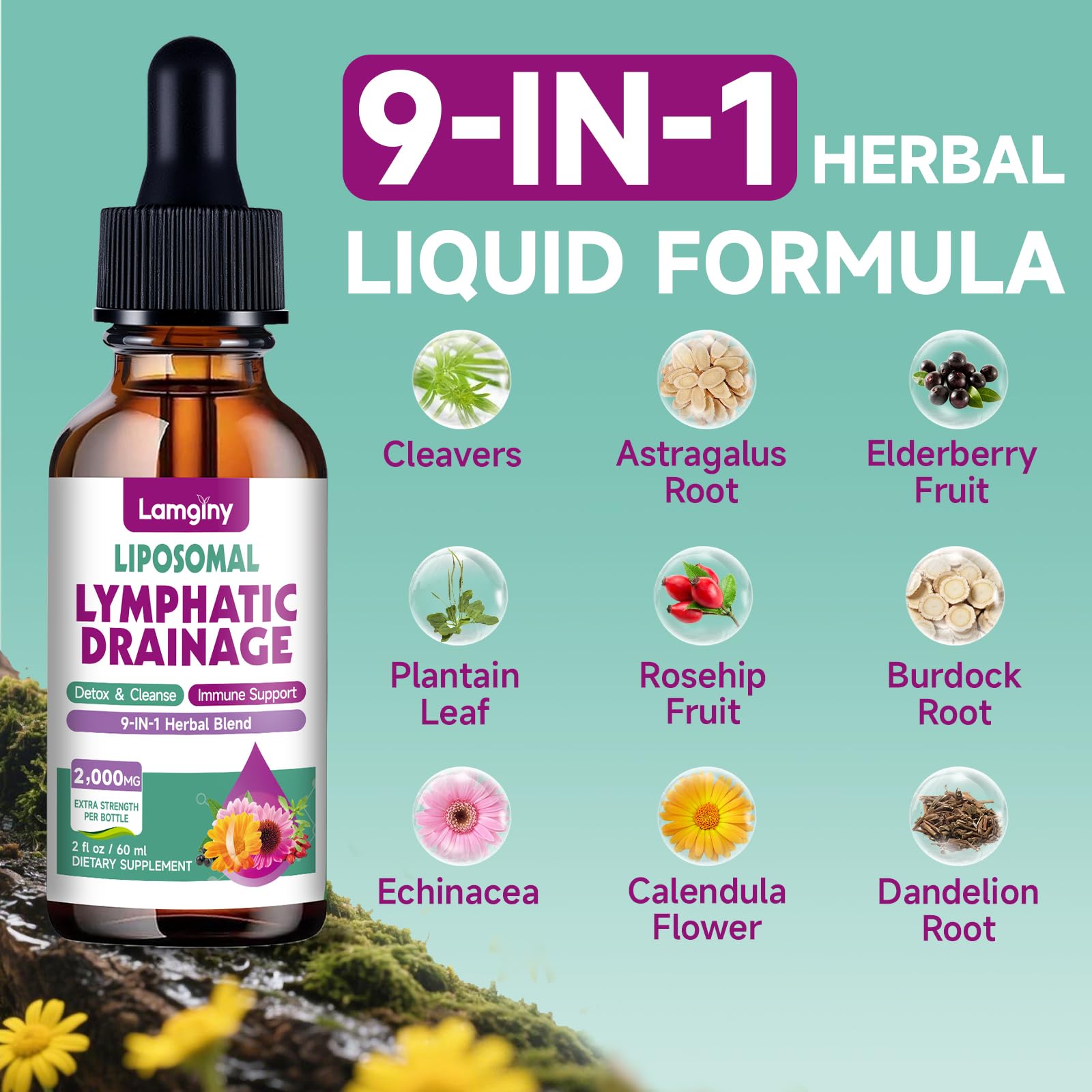 Liposomal Lymphatic Drainage Drops, 9-In-1 Lymphatic Drainage Supplements for Detox & Cleanse, with Echinacea, Dandelion, Elderberry, Burdock Root & Cleavers, Immune & Lymph System Support, 2 FL OZ LAMGINY buy supplements Au