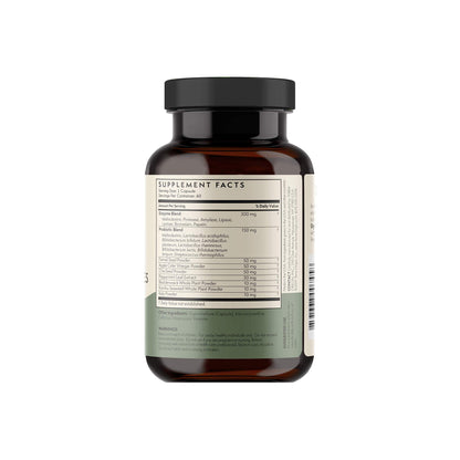 TERRA ORIGIN Digestive Enzymes with Probiotics & Prebiotics | 60 Capsules | Supports Digestive Gut Health | Non GMO, Gluten Free,