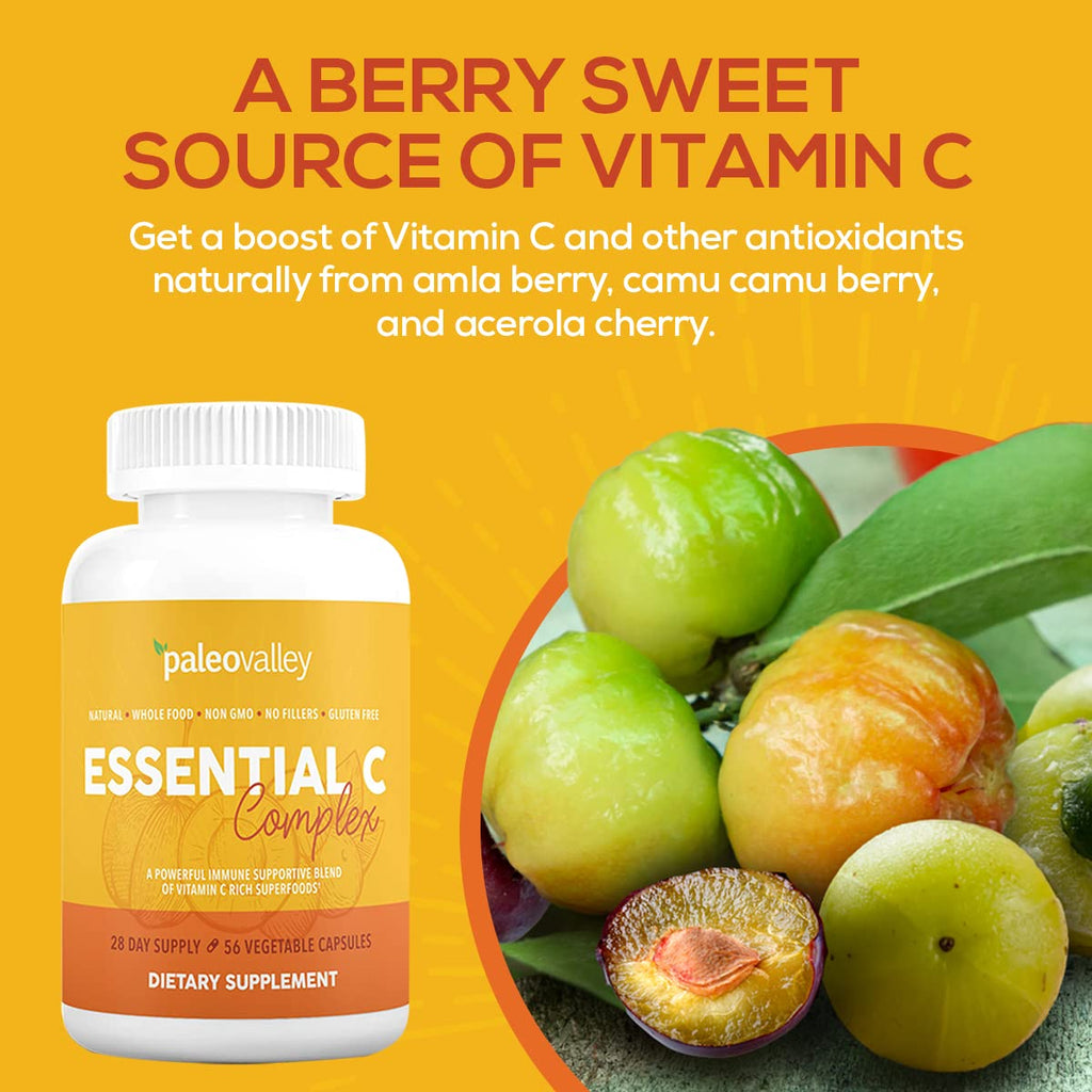 Paleovalley Essential C Complex - Vitamin C Supplement for Immune Support - 1 Pack, 450mg - Organic Superfoods Unripe Acerola Cherry, Camu Camu, Amla Berry