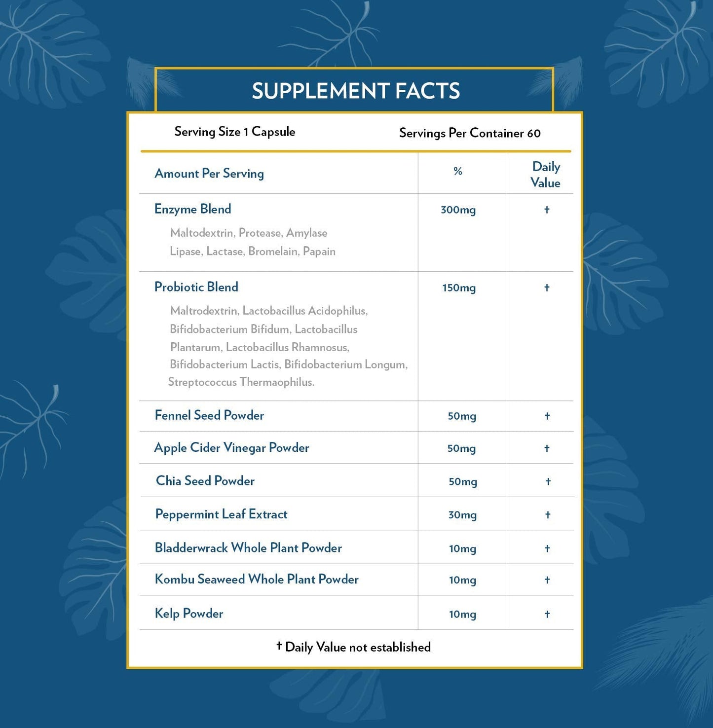 TERRA ORIGIN Digestive Enzymes with Probiotics & Prebiotics | 60 Capsules | Supports Digestive Gut Health | Non GMO, Gluten Free,