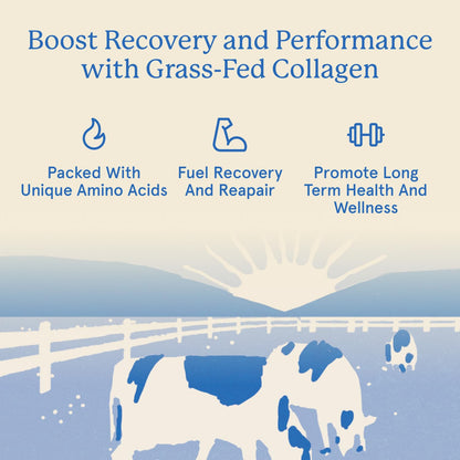 Equip Foods Grass Fed Collagen Powder | Hydrolyzed Bovine Collagen Peptides with Amino Acids | Prime Beef Collagen for Healthy Joints, Skin & Nails | Non-GMO, Paleo Friendly