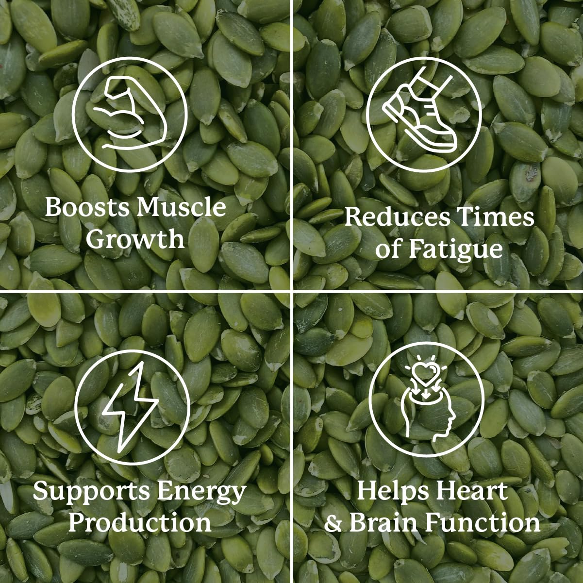 Nature’s Sunshine Magnesium Complex - High Potency Magnesium Supplement with Citrate & Malate for Relaxation, Optimal Absorption, Muscle Function, Energy Production - 50 Servings (100 Capsules) Nature's Sunshine buy supplements Au