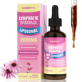 Liposomal Lymphatic Drainage Drops, Lymphatic Support with Echinacea, Dandelion, Turmeric, Burdock, Elderberry, and Calendula, Lymph System Support & Immune Health Aegisvital buy supplements Au