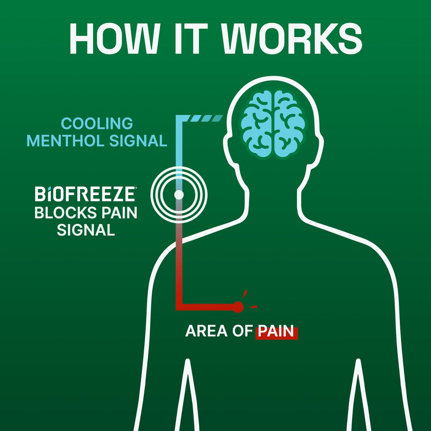 Biofreeze Pain Relief Gel, Arthritis Pain Reliver, Knee & Lower Back Pain Relief, Sore Muscle Relief, Neck Pain Relief, Pharmacist Recommended, 8 FL OZ Biofreeze Menthol Gel BiofreezeBuy Supplements Australia
