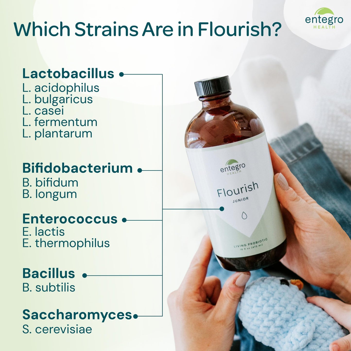 ENTEGRO Flourish Junior Liquid Probiotic & Postbiotic Supplement - Glass | 11 Live Cultures | Gut & Digestive Health for Women, Men & Kids | Organic, Vegan, Allergen Free | USA Made | 16 fl oz