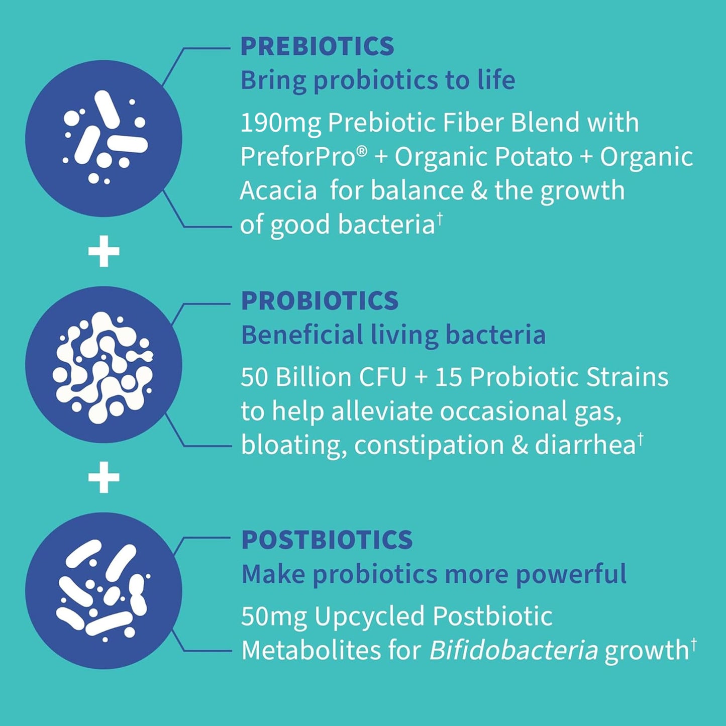 Garden of Life Dr. Formulated Pre, Post & Probiotics Gas & Bloating Once Daily 3-in-1 Complete Prebiotics, Postbiotics & Probiotics – 50 Billion CFU