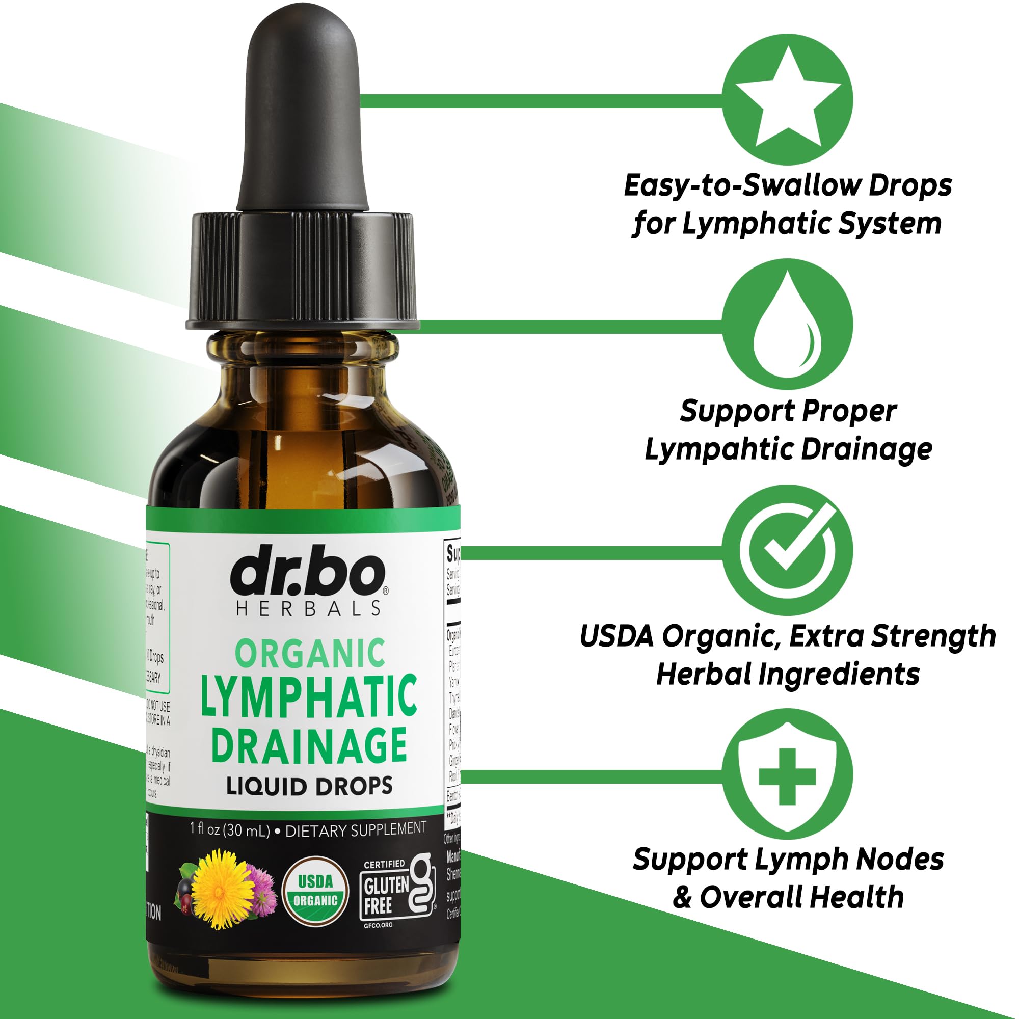 Lymphatic Drainage Supplements Drops - Organic Lymphatic Support Liquid Drops Cleanse with Echinacea, Lymph System Support Supplement, Lymph Node Detox Cleanse System Drainage - 1oz Non-GMO Organics DR. BO buy supplements Au