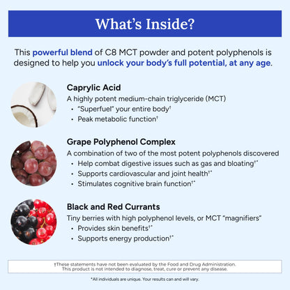 Gundry MD MCT Wellness Powder to Support Energy, Ketone Production and Brain Health, Keto Friendly, Sugar Free