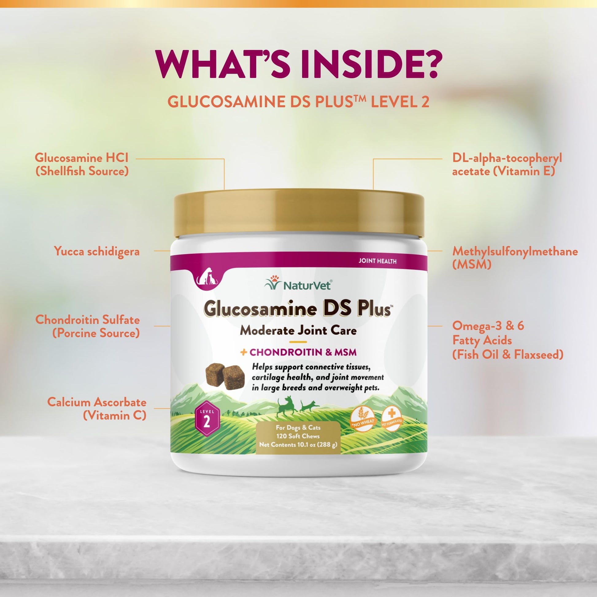NaturVet – Glucosamine DS Plus - Level 2 Moderate Care – Supports Healthy Hip & Joint Function – Enhanced with Glucosamine, MSM & Chondroitin – for Dogs & Cats–120 Soft Chews NaturVetBuy Supplements Australia