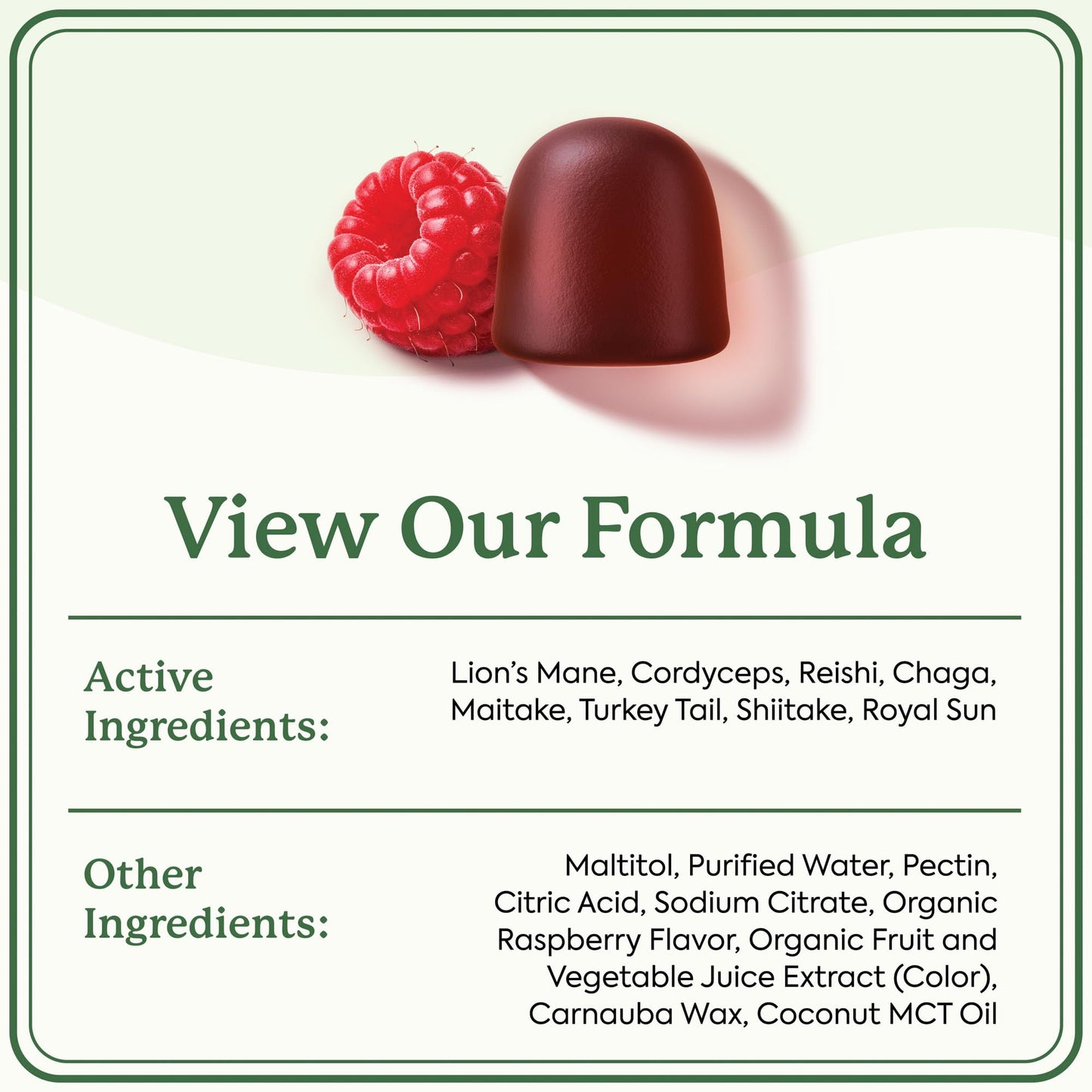 Plant People WonderDay Mushroom Gummies - Lion’s Mane, Cordyceps, Chaga Mushroom Supplement to Support Immune System De-Stress Boost Mood & Energy in Adults Natural