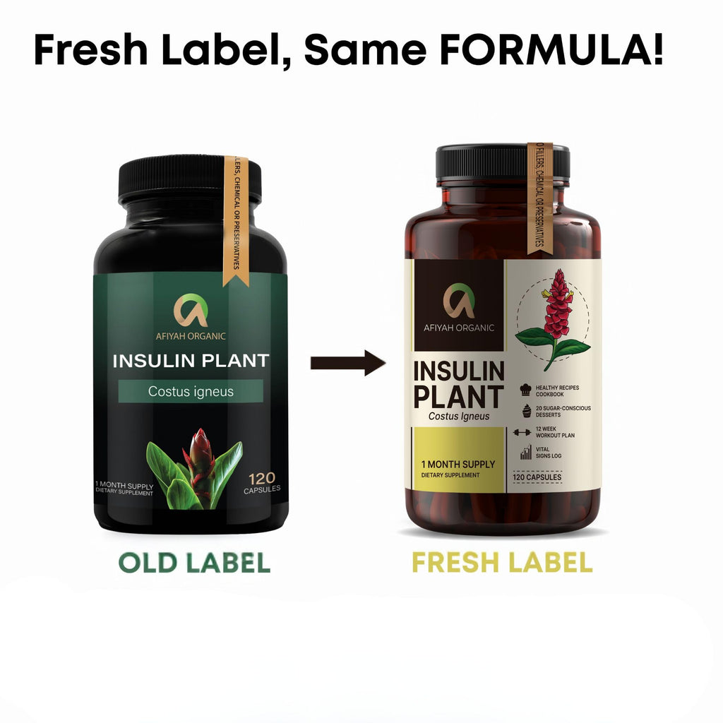 Afiyah Organic - Premium Quality Costus Igneus (Insulin Plant) Capsules - Easy to Swallow 120 Veggie Capsules (1 Month Supply) - Made in the USA - Including Complete Health Support Program Afiyah Organic buy supplements Au