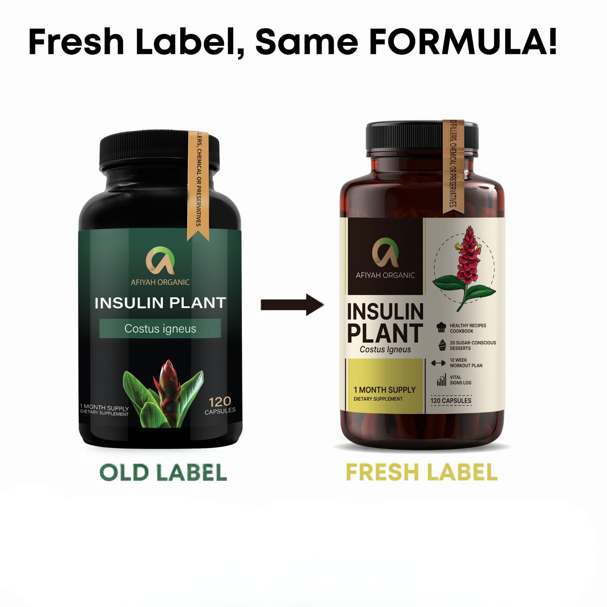 Afiyah Organic - Premium Quality Costus Igneus (Insulin Plant) Capsules - Easy to Swallow 120 Veggie Capsules (1 Month Supply) - Made in the USA - Including Complete Health Support Program Afiyah Organic buy supplements Au