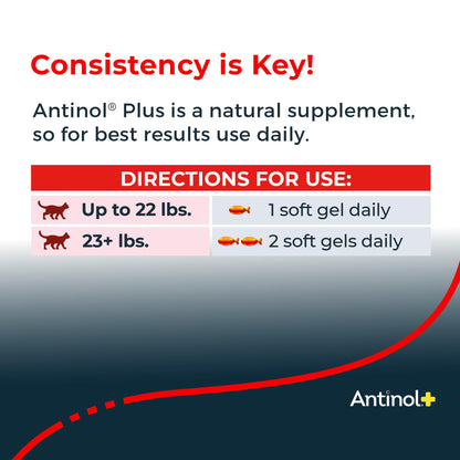 Antinol Plus, Mobility, Hip, and Joint Supplement for Cats, Green-Lipped Mussels and Krill Oil - Cat Joint Supplement, 30 Soft Gels AntinolBuy Supplements Australia