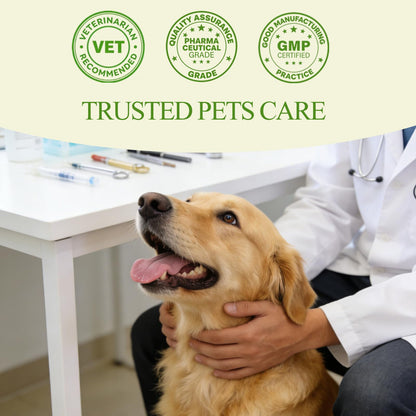 Topical 99.995% DMSO for Dogs Lipoma, Lipoma Treatment for Dogs, Reduce Fatty Lumps and Bumps Inflammation, Swelling, Dog Pain Relief, DMSO in Glass Bottle with Precision Dropper, 1.7 oz Jdicklary buy supplements Au