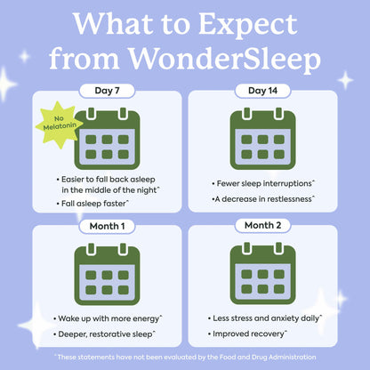 Plant People WonderSleep Mushroom Gummies Supplement for Sleep, No Melatonin with Reishi Super Mushrooms, Wild Elderberry Flavor, Sugar-Free (60 Count)
