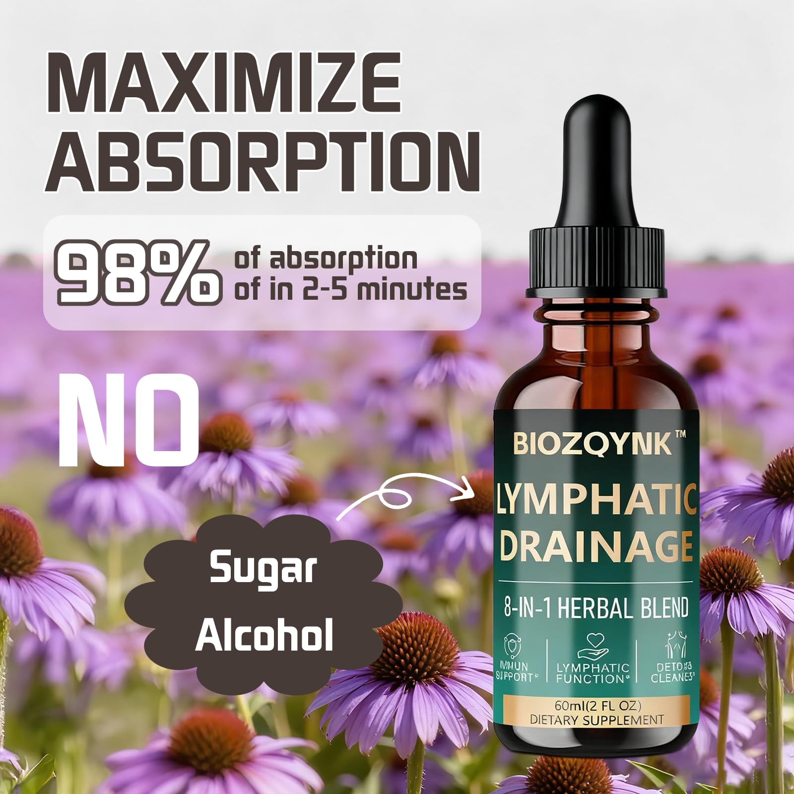 BIOZQYNK Lymphatic Drainage Liquid Drops – Herbal Extracts & Botanicals for Circulation, Immune & Detox Support – Alcohol-Free, Vegan (2 fl oz) BIOZQYNK buy supplements Au