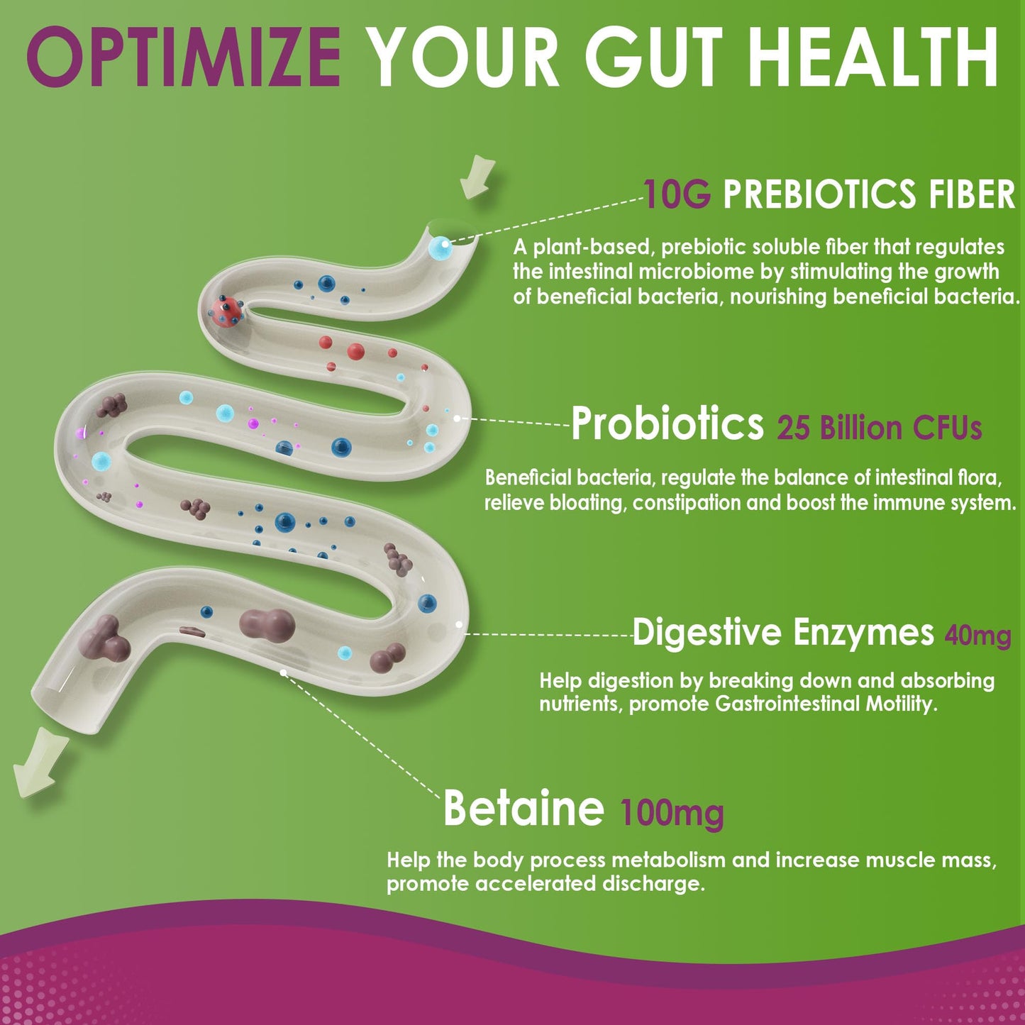 Fiber Gummies for Adults, Sugar Free 10g Prebiotic Fiber Supplement with Digestive Enzymes, Probiotics & 100mg Betaine for Digestive & Gut Health