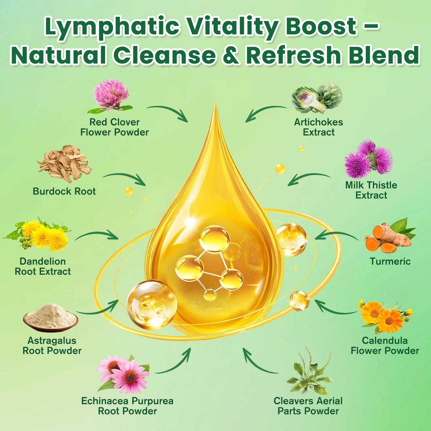 Liposomal Lymphatic Drainage Drops - Lymphatic Drainage Supplements with Milk Thistle, Burdock Root for Women & Men | Supports Liver Cleanse, Detox & Repair | Lymph - Liver Cleanse Health | 2 Fl Oz SEPT YAN buy supplements Au