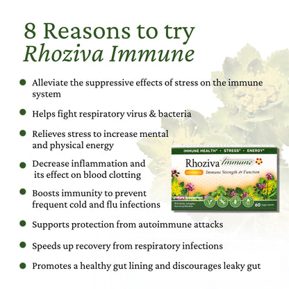 Immune Support, Energy Booster with Vitamin C, D3 and Zinc Supplement, Rhodiola Rosea, Reishi Mushroom Extract, Astragalus, Overall Wellness and Daily Habit - 60 Capsules Rhoziva buy supplements Au
