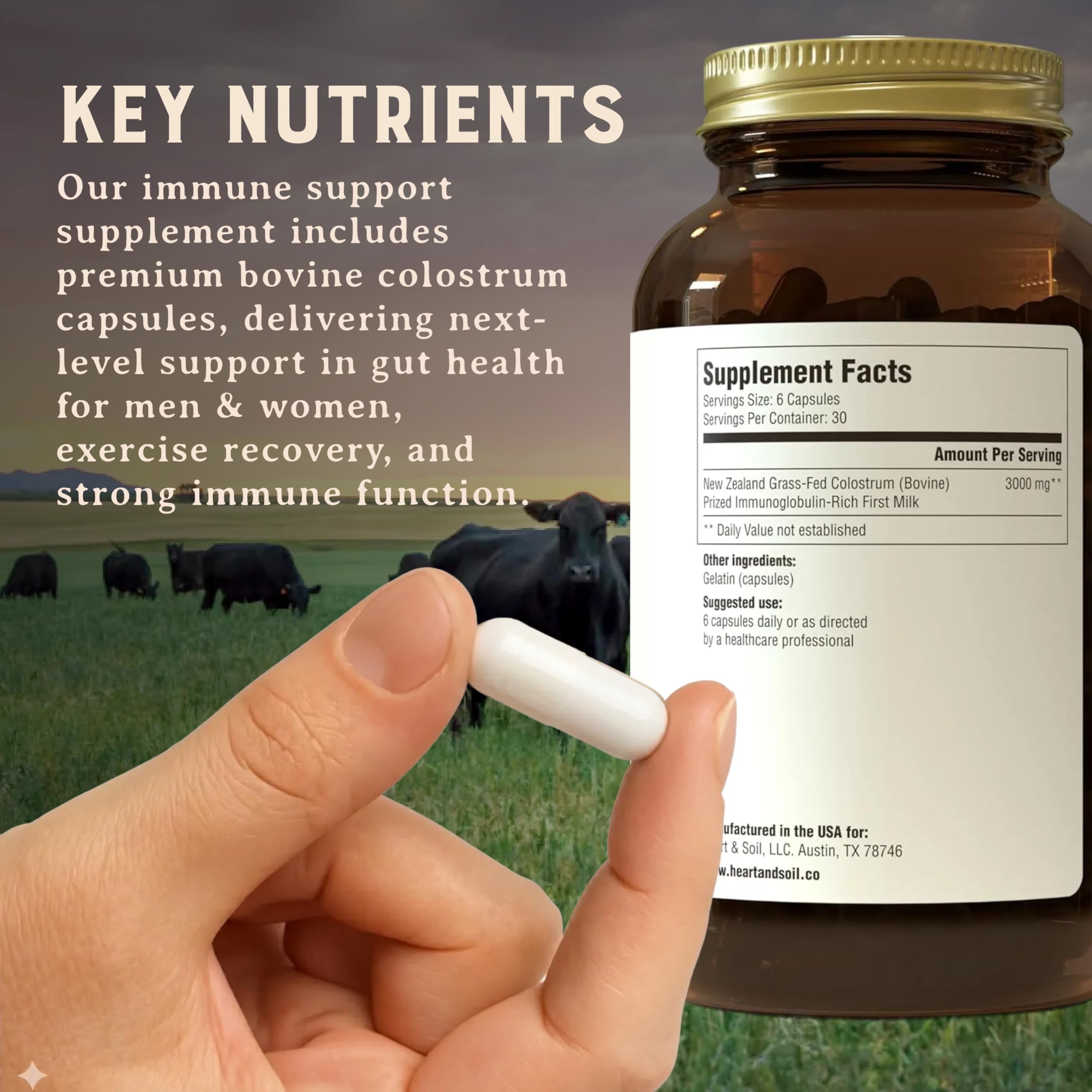 HEART & SOIL 100% Grass Fed & Finished Colostrum Supplement from Regenerative Cattle for Gut, Muscle & Immune Health – 3000mg Bovine Colostrum Capsules - Gut Health for Men & Women –180 Capsules HEART & SOILBuy Supplements Australia