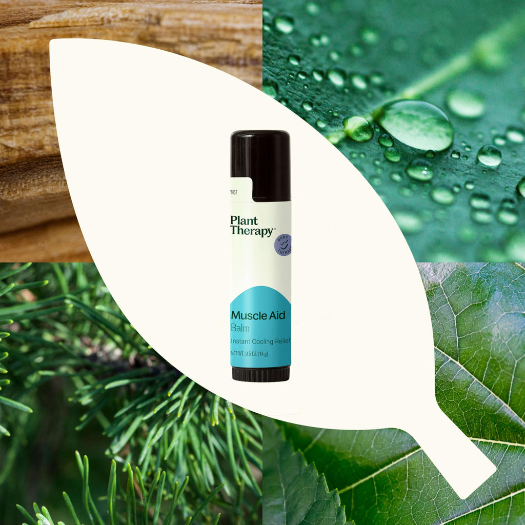 Plant Therapy Muscle Aid Balm .5 oz Soft & Creamy Balm, Cooling Relief, Natural Ingredients Plant TherapyBuy Supplements Australia