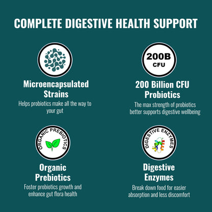 UpNourish Probiotics - 200 Billion CFUs for Men and Women, 15 Clinically Studied Strains, Prebiotics & Enzymes - 60 Vegan Capsules