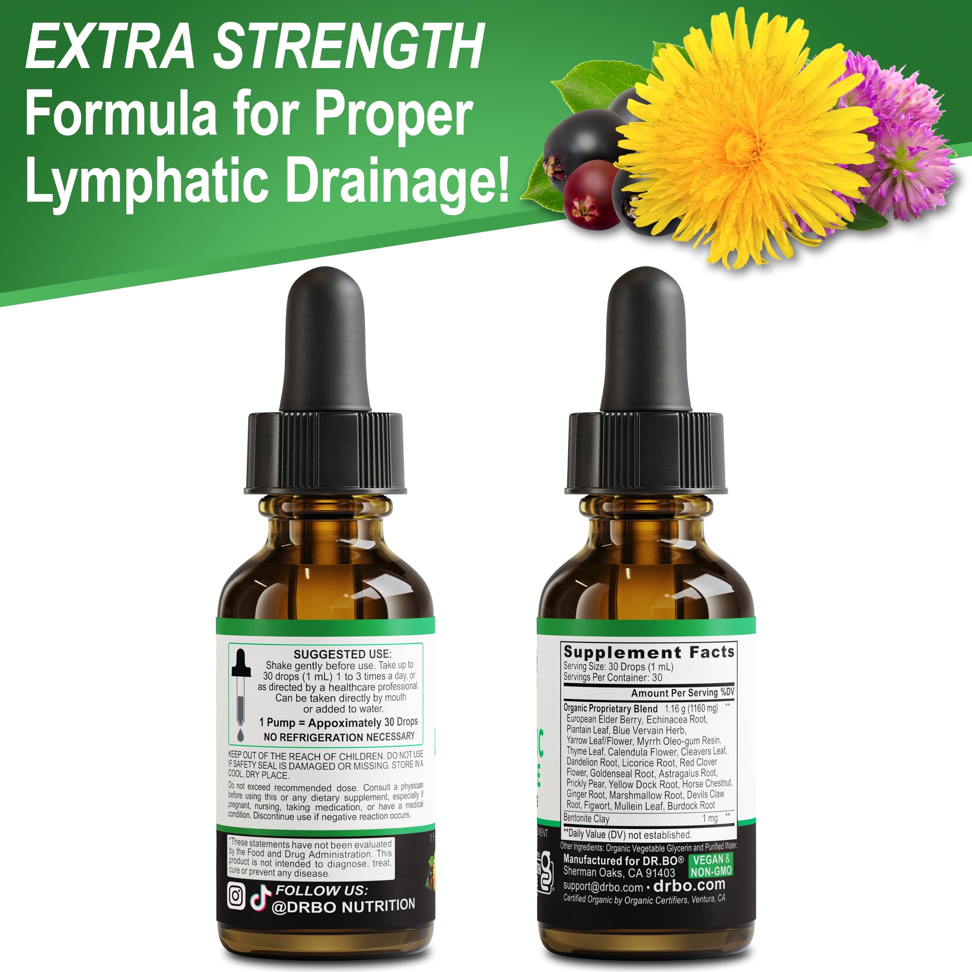 Lymphatic Drainage Supplements Drops - Organic Lymphatic Support Liquid Drops Cleanse with Echinacea, Lymph System Support Supplement, Lymph Node Detox Cleanse System Drainage - 1oz Non-GMO Organics DR. BO buy supplements Au