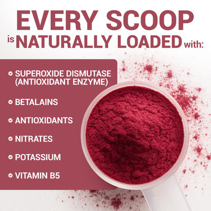 Dr. Berg Raw Organic Beet Powder from Real Earth-Grown Beets – USDA Certified Organic Beet Root Powder to Support Nitric Oxide Levels, Energy, Blood Flow, & Heart Health* – 30 Servings Dr. Berg NutritionalsBuy Supplements Australia