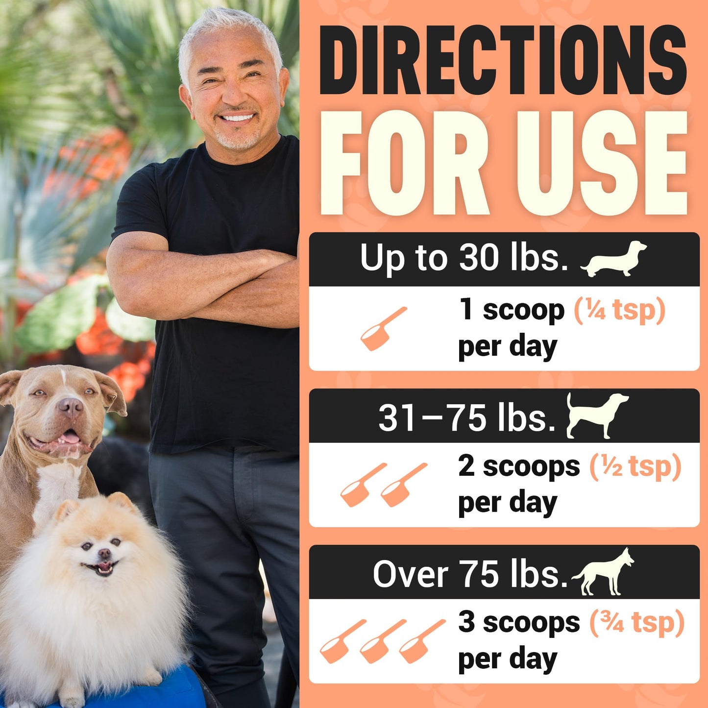 Better Dog Supplements Happy-Go-Lucky Belly by Cesar Millan - Natural Dog Digestive Support Powder – Dog Constipation Relief, Gut Balance & Regularity with Herbal Fiber for Dogs – 4oz (60-Day Supply) Better Dog Supplements By Cesar Millan buy supplements Au