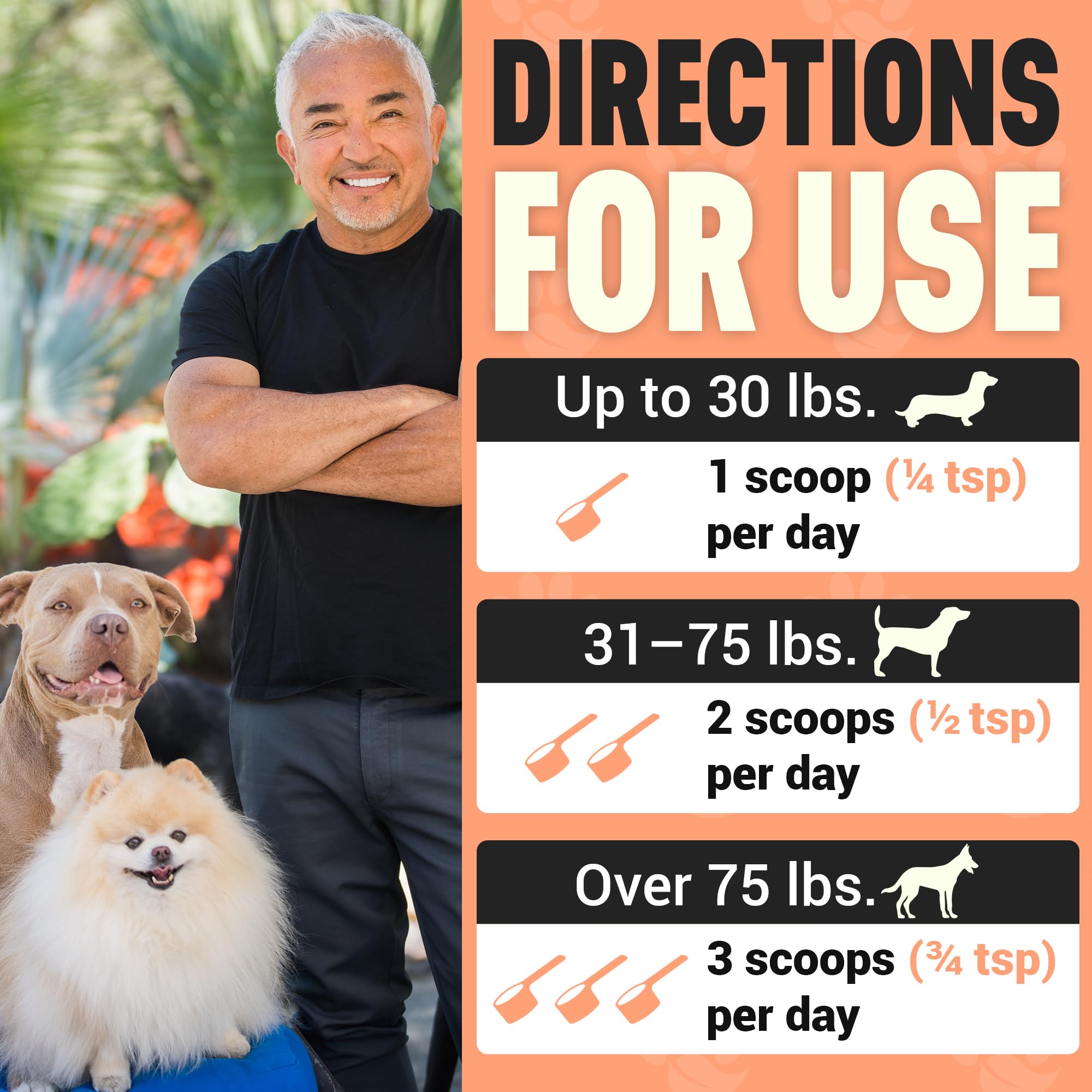 Better Dog Supplements Happy-Go-Lucky Belly by Cesar Millan - Natural Dog Digestive Support Powder – Dog Constipation Relief, Gut Balance & Regularity with Herbal Fiber for Dogs – 4oz (60-Day Supply) Better Dog Supplements By Cesar Millan buy supplements Au