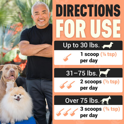 Better Dog Supplements Happy-Go-Lucky Belly by Cesar Millan - Natural Dog Digestive Support Powder – Dog Constipation Relief, Gut Balance & Regularity with Herbal Fiber for Dogs – 4oz (60-Day Supply) Better Dog Supplements By Cesar Millan buy supplements Au