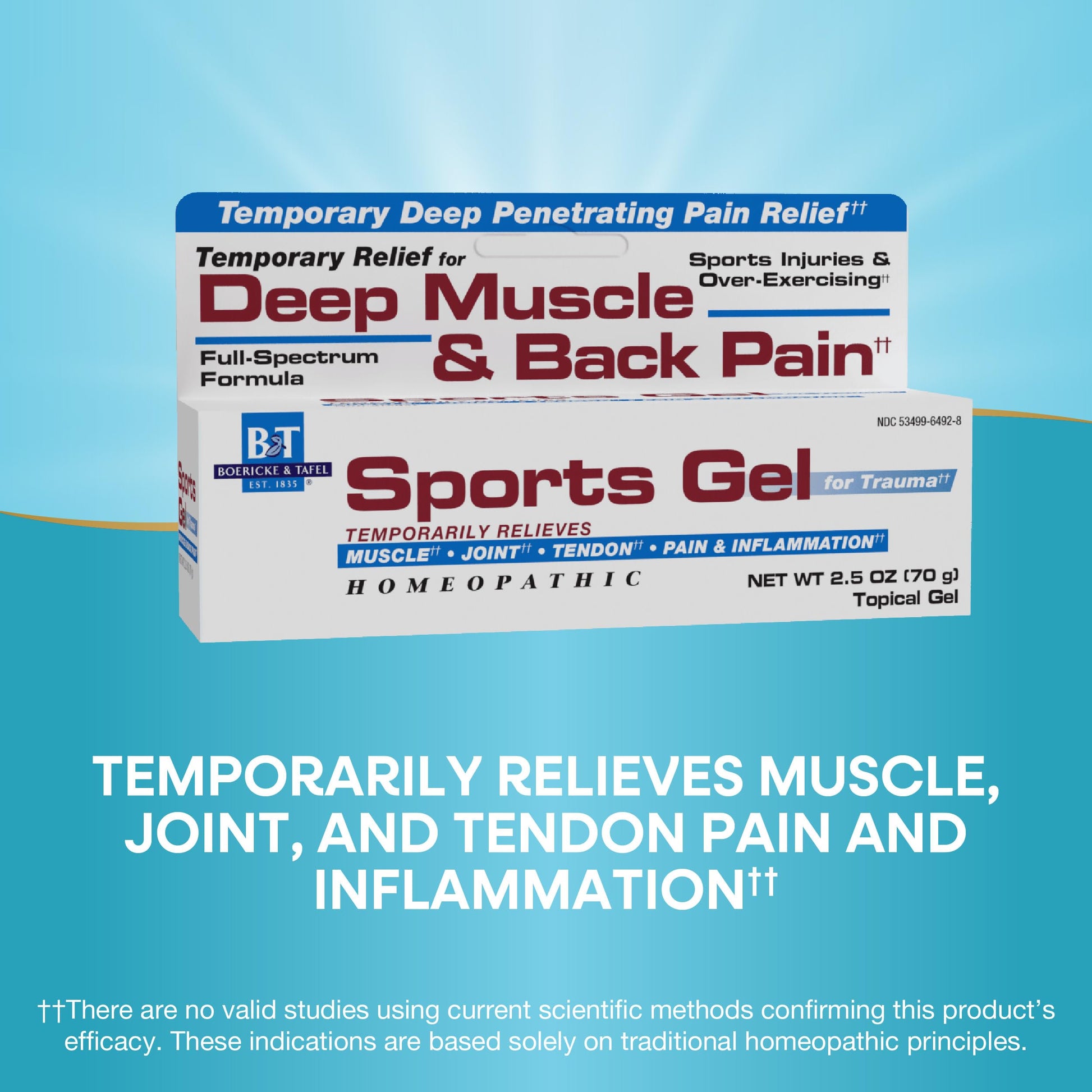 Nature's Way Boericke & Tafel Sports Gel, Relief for Deep Muscle, Joint, Tendon, & Back Pain and Inflammation, Homeopathic, 2.5 oz Nature's WayBuy Supplements Australia