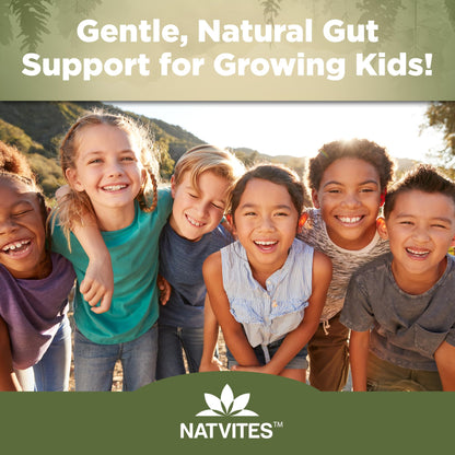 Natvites Prebiotic Kids Fiber Gummies, for Children Ages 2 & Up - Sugar Free Vegetarian Gelatin Free Non-GMO, Kids Fiber Supplements