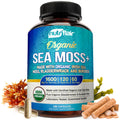 NutriFlair Organic Sea Moss 1600mg, 120 Capsules Plus Bladderwrack & Burdock - Prebiotic Super Food - Immune System & Digestive Health - Thyroid, Healthy Skin, Keto Detox, Gut NutriFlairBuy Supplements Australia