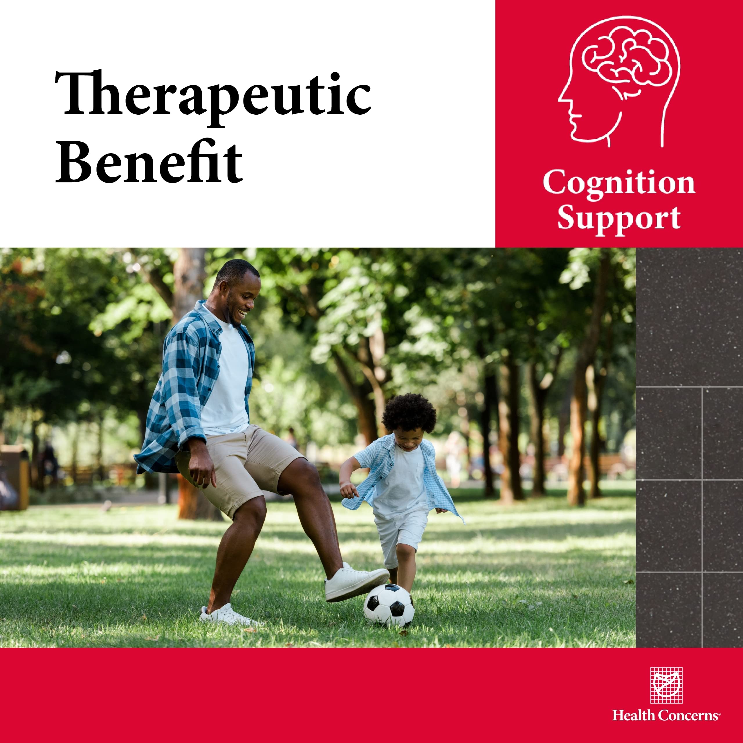 Health Concerns Cogni-Spark – Brain Support for Memory, Focus, and Mental Clarity – Alpha-GPC Choline Supplement for Cognition, Nerve Function & Longevity – Cognitive Health Formula – 30 Capsules Health ConcernsBuy Supplements Australia