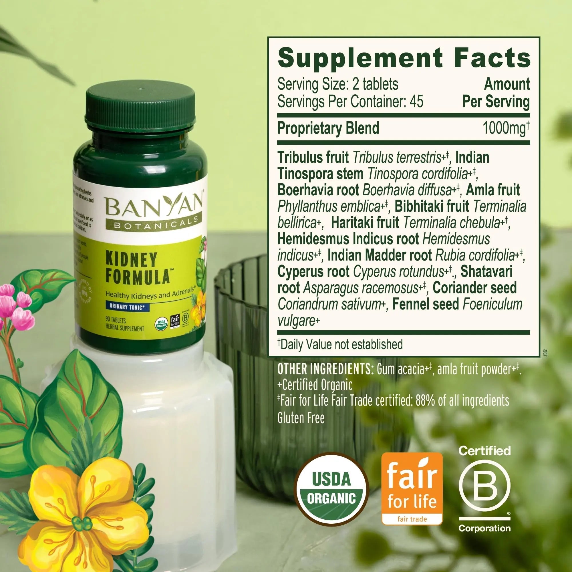 Banyan Botanicals Organic Kidney Formula–Urinary Tract Support & Detox Supplement–Gokshura & Punarnava for Fluid Balance & Systemic Cleansing–Cooling Genitourinary Tonic-90 Tablets-USDA Organic Banyan BotanicalsBuy Supplements Australia