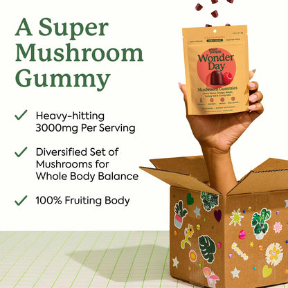 Plant People WonderDay Mushroom Gummies - Lion’s Mane, Cordyceps, Chaga Mushroom Supplement to Support Immune System De-Stress Boost Mood & Energy in Adults Natural