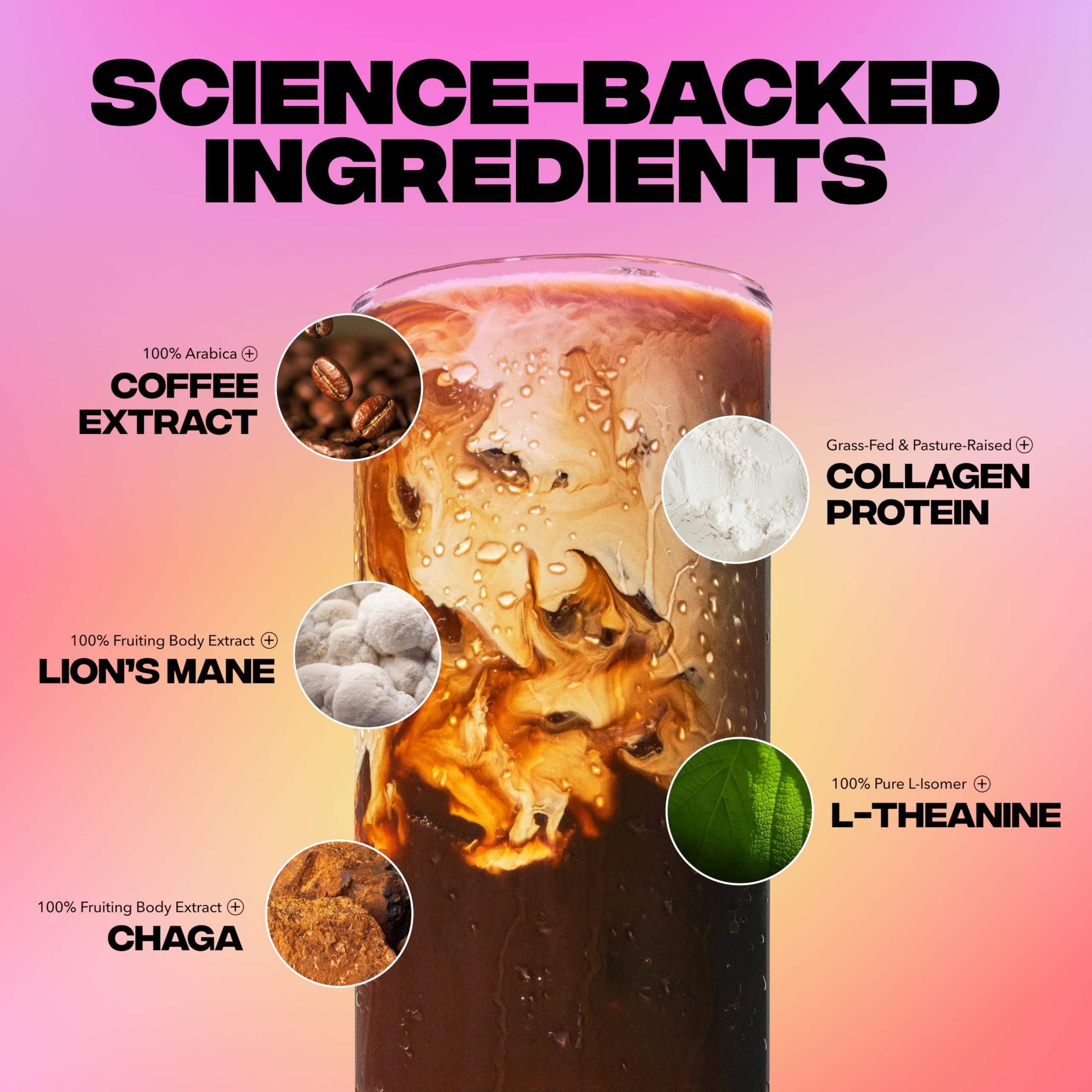 Everyday Dose Premium Adaptogenic Mushroom Coffee with Grass-Fed Collagen, Chaga, Lions Mane & L-Theanine for Better Focus, Energy, Digestion, Skin, and Immunity 30 Servings