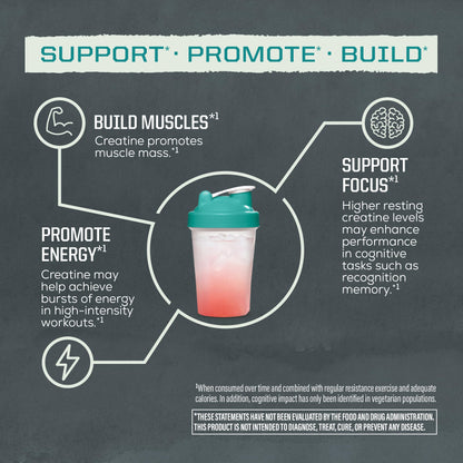 Creatine Monohydrate Powder Micronized PreWorkout Recovery Supplement | Support Muscle Building Strength Training Cognition | Vegan & Keto Friendly Easily Mixes